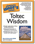 The Idiot's Guide to Toltec Wisdom