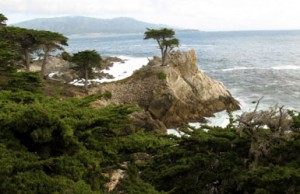 Monterey photography workshop