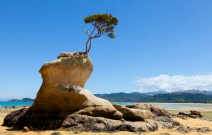 Journeys of the Spirit® Newsletter July 22nd, 2015