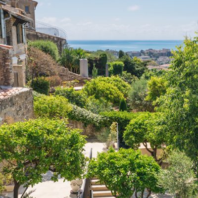 Faecation - Rogue Assassin - deposit