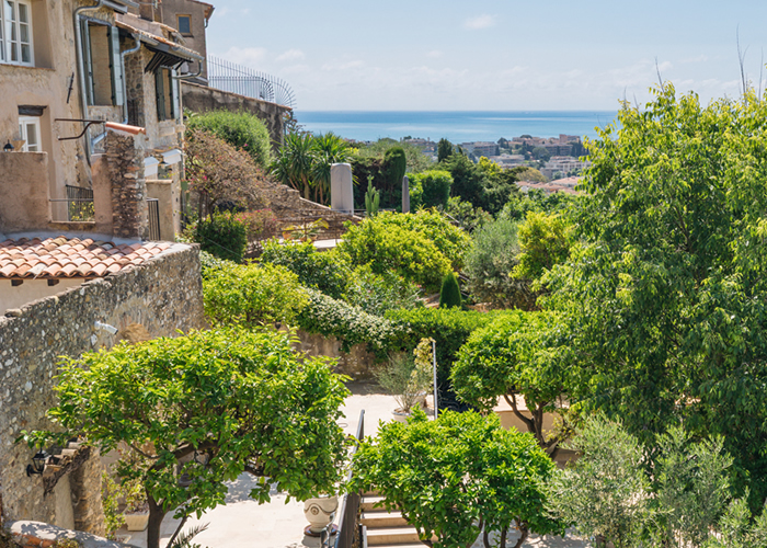 Faecation - Forced Proximity - deposit